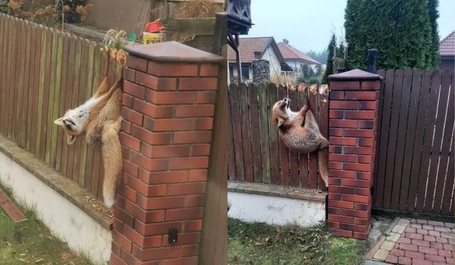 fot. Ochotnicza Straż Pożarna w Barczewie