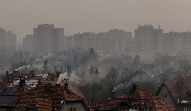 fot. East News