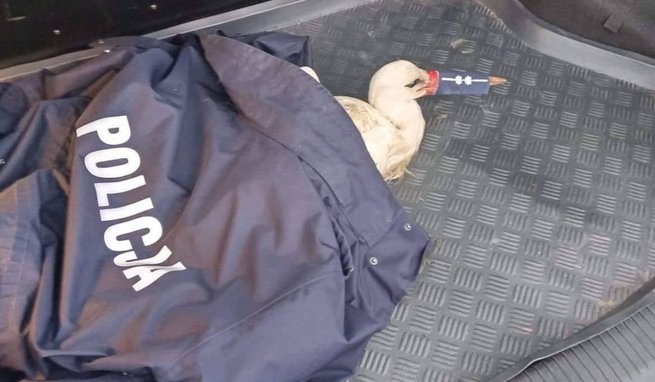 fot. Facebook/ Łódzka Policja