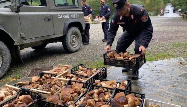 fot. Carabinieri Forestali