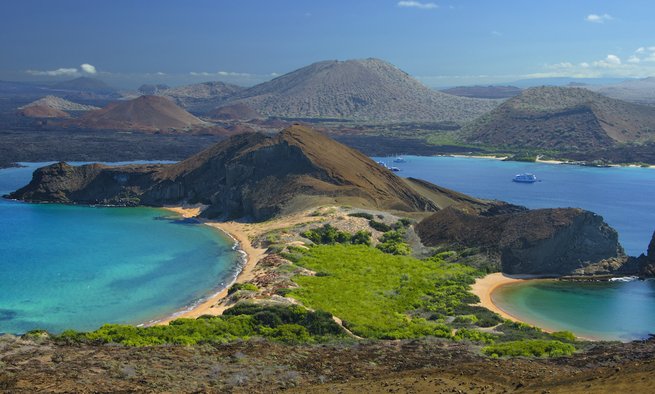 W maju powołano koalicję na rzecz przywrócenia zdegradowanych siedlisk na Wyspach Galapagos, fot. Shutterstock