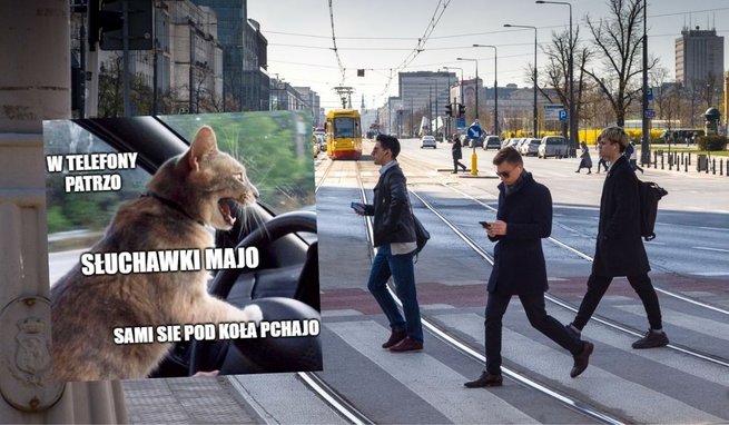 fot. East News