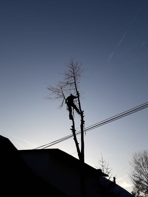 fot. Michał