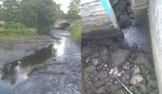 fot. Stowarzyszenie Przyjaciół Dorzecza Gwdy