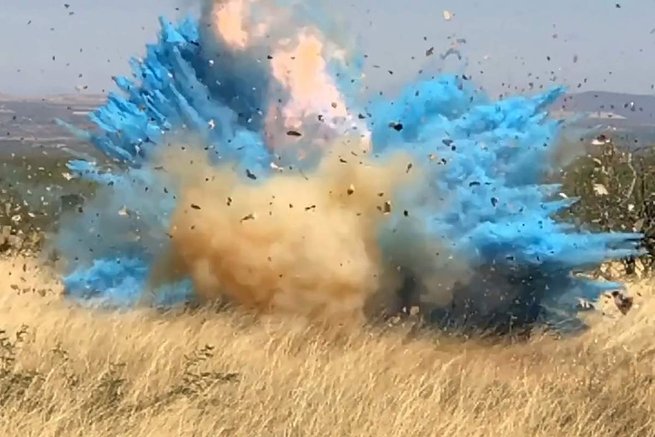 Efekty pirotechniczne na "gender reveal party" w Arizonie w 2017 roku / fot. U.S. Forest Service