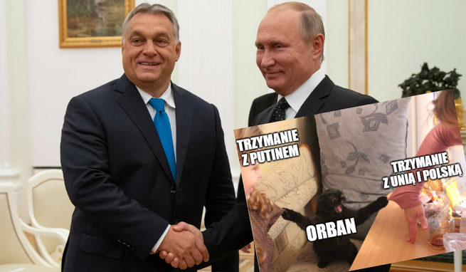 fot. East News