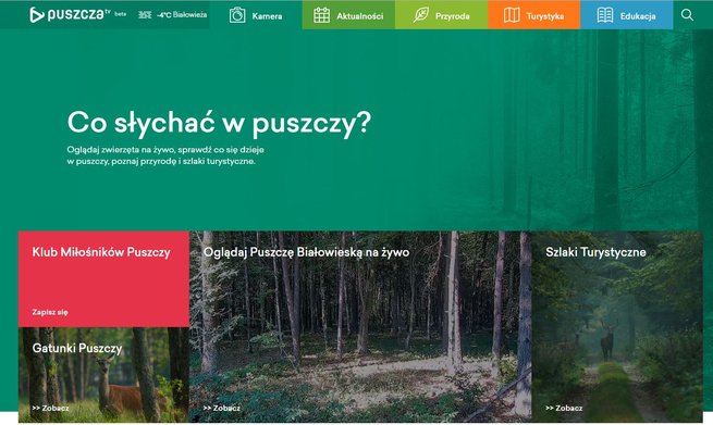 Strona internetowa za 7 mln złotych
