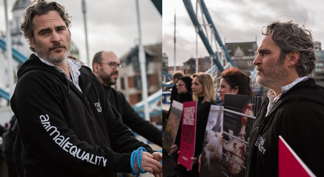 fot. Animal Equality UK