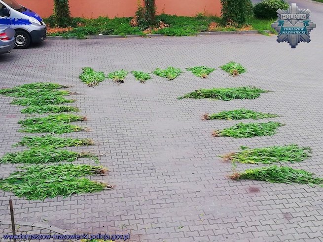 fot. policja