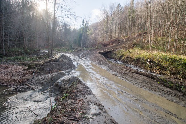 fot. Małgorzata Klemens / Inicjatywa Dzikie Karpaty