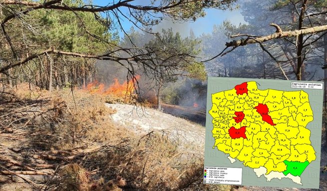 fot. Nadleśnictwo Choczewo / Baza Pożarów