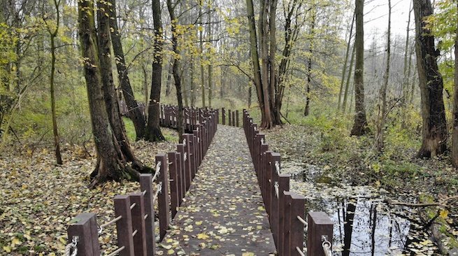 Leśnictwo Antoninek, fot. Poznańskie Inwestycje Miejskie.