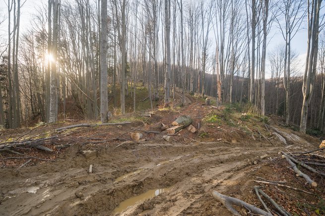 fot. Małgorzata Klemens / Inicjatywa Dzikie Karpaty